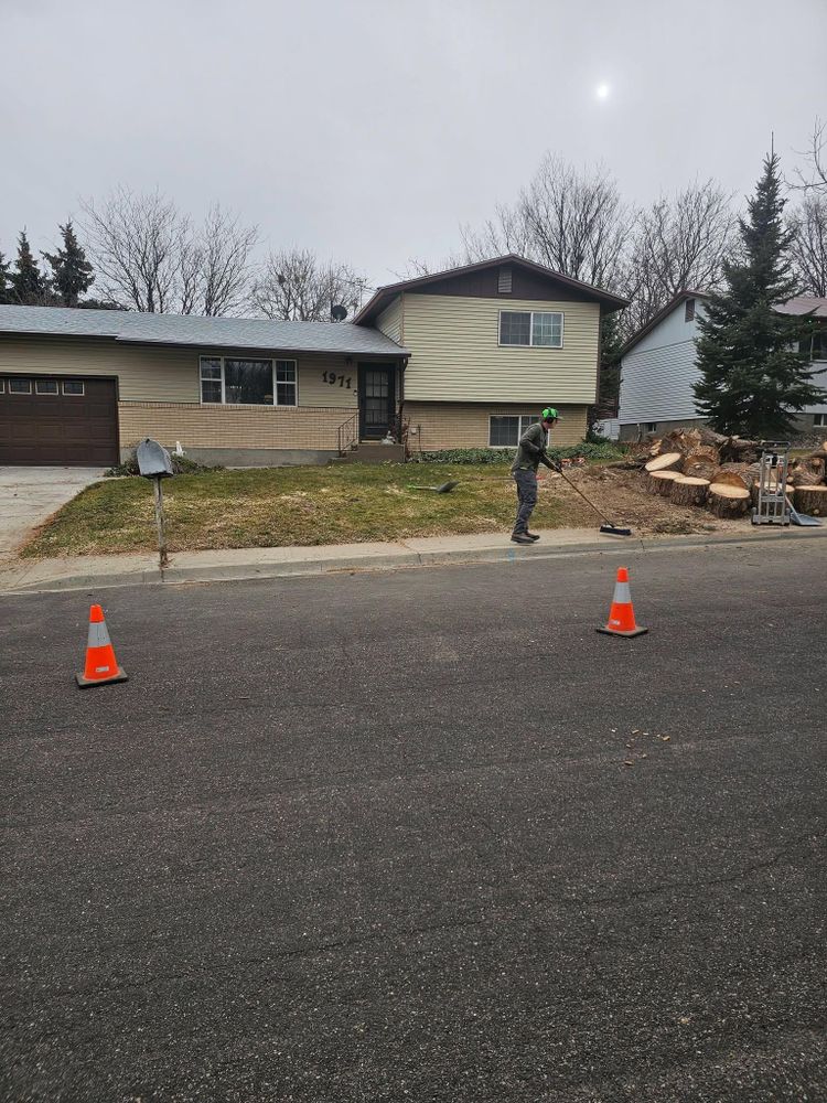 Tree Removal for Portneuf Valley Tree Service in Pocatello, ID