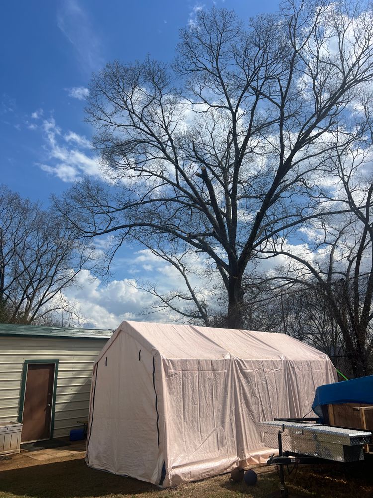 Tree Removal for Ground To Sky Tree Care in Asheville, North Carolina