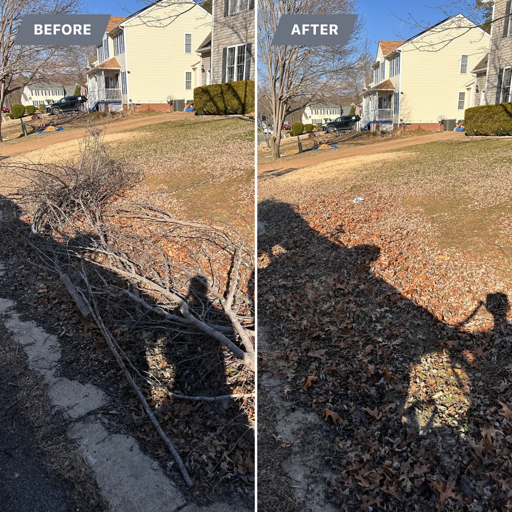 All Photos for LeafTide Solutions in Richmond, VA