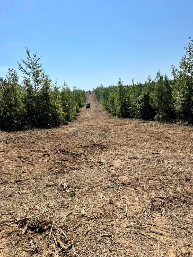 Land Clearing for Bass Land Management in Yellville, AR