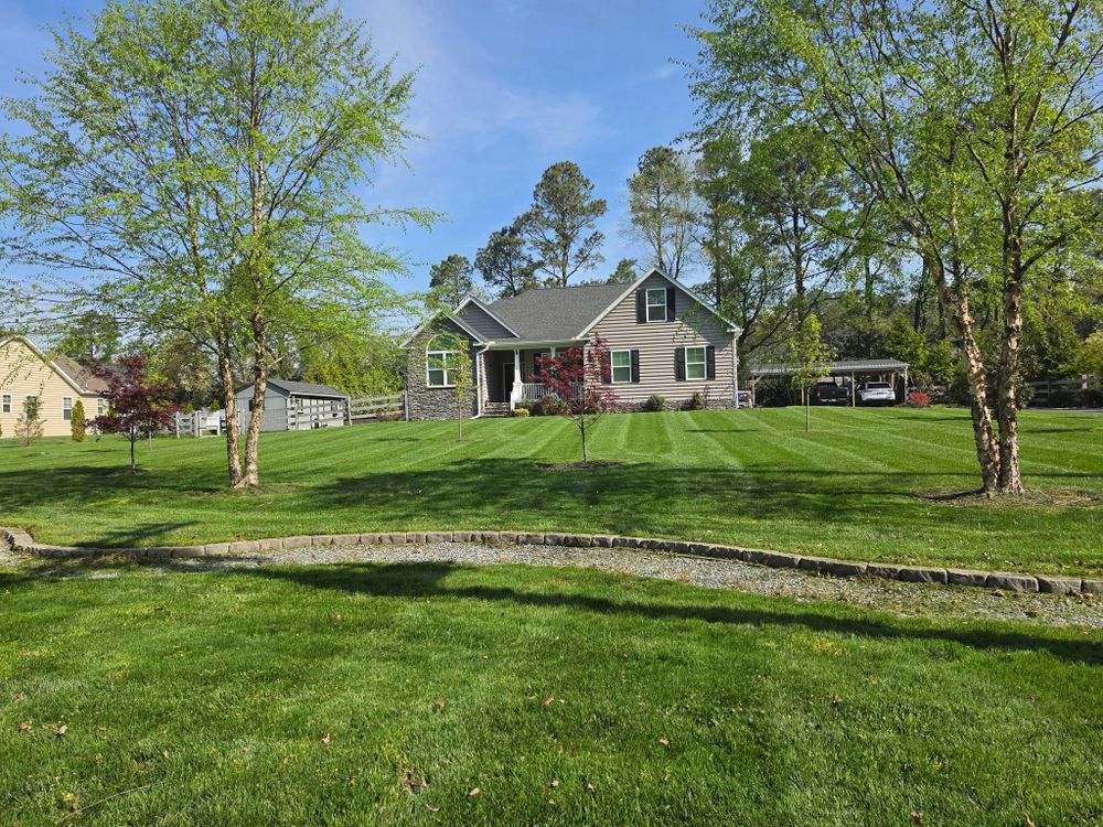 All Photos for Francos Landscaping LLC in Rehoboth Beach, DE