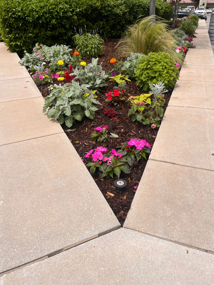 Seasonal Color for Urban Lawn & Landscape in Oklahoma City, OK