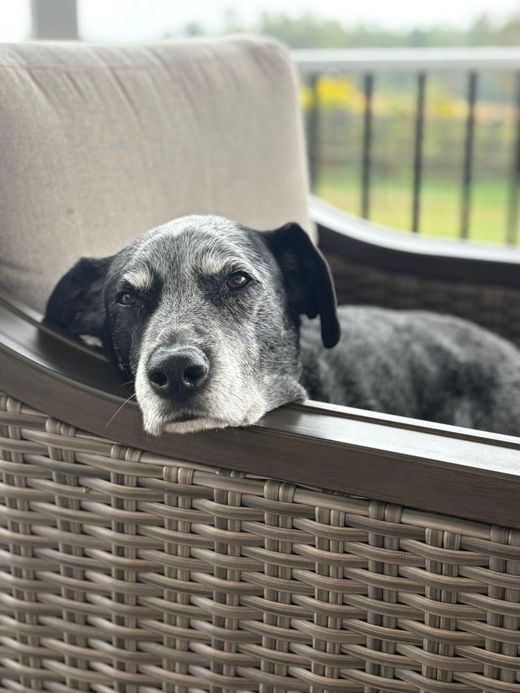 All Photos for DPD Construction in Cadiz Township, OH