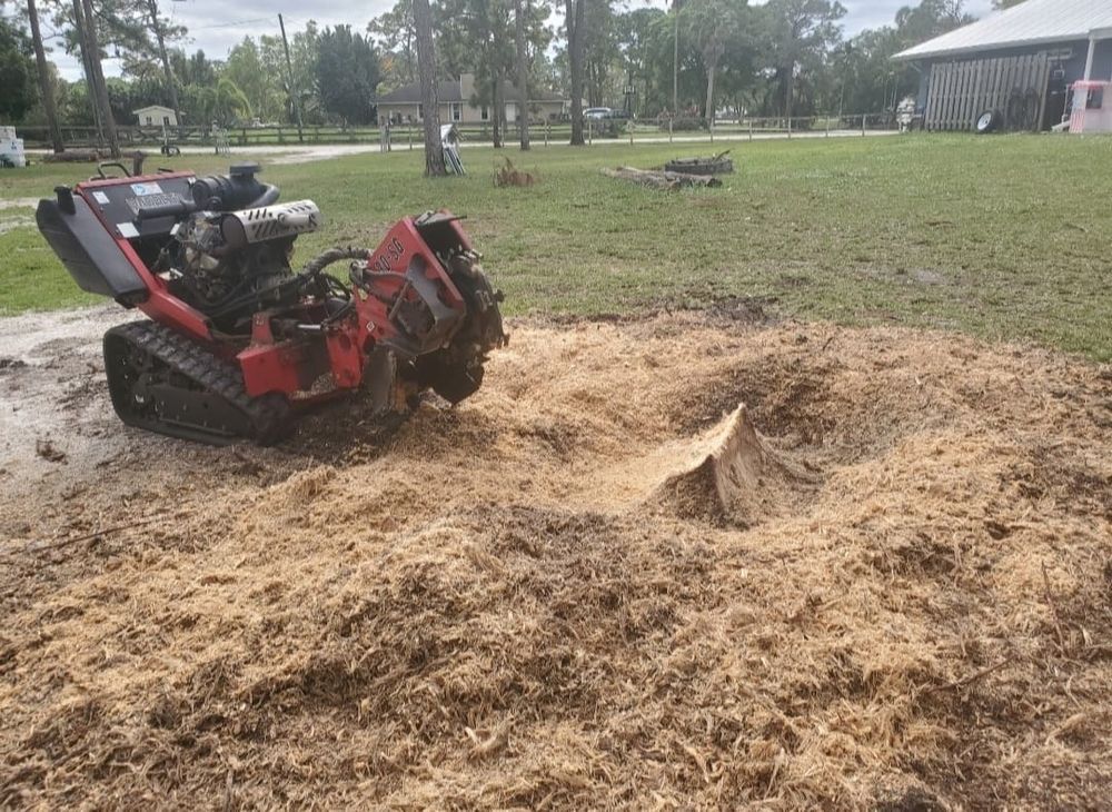 Our professional stump removal service efficiently eliminates unsightly stumps, enhancing your landscape’s beauty and safety. Trust our experts to carefully restore your yard with minimal disruption and complete satisfaction. for Regal Tree Service and Stump Grinding in Wauchula, FL