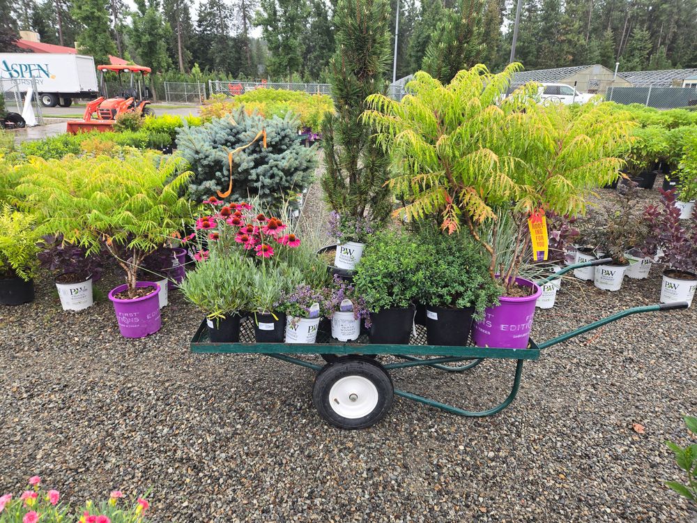 All Photos for Ida-Home Hardscapes in Coeur d'Alene, ID