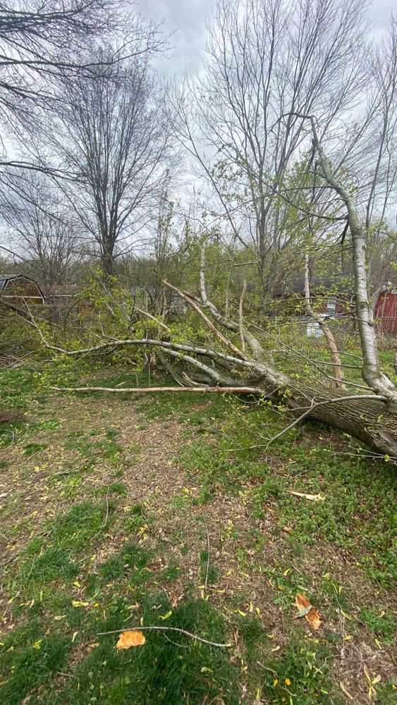 Tree Removal for SMITHs Tree Service in Columbus, IN