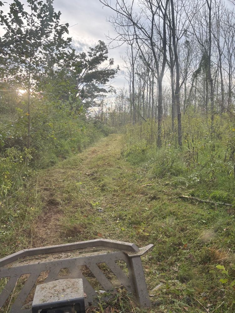 All Photos for Gregory Grass and Lawn in Lafayette, TN