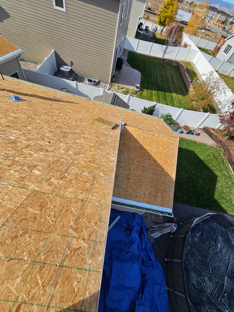 All Photos for Distinctive Home Renovations in Longmont, CO