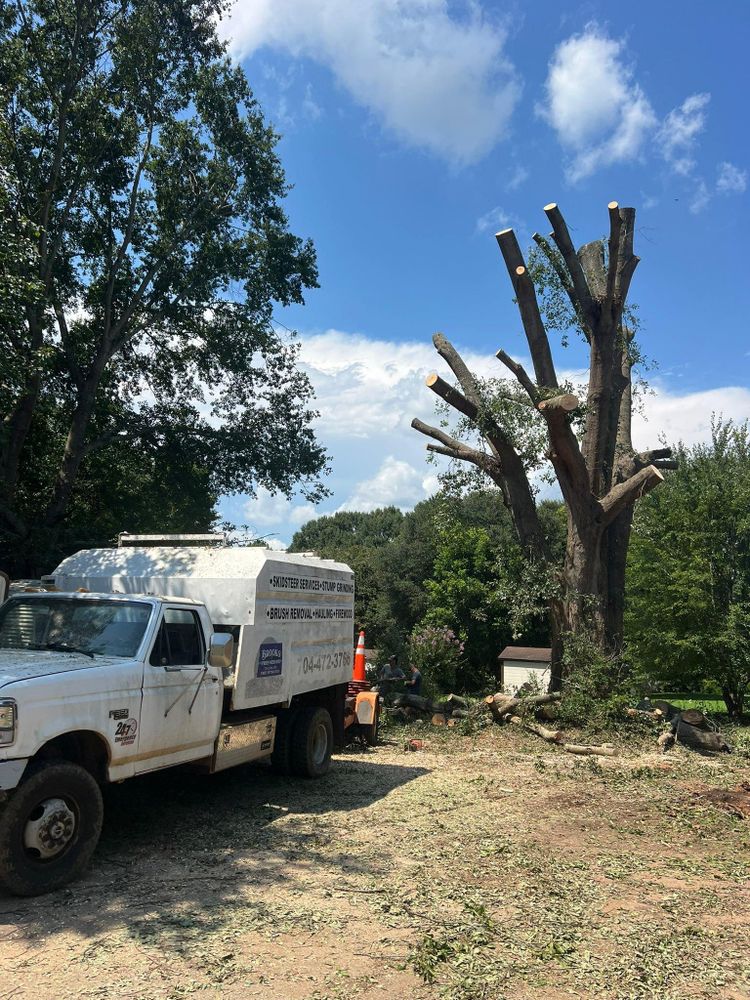 All Photos for Brooks Tree Service in Casar, NC