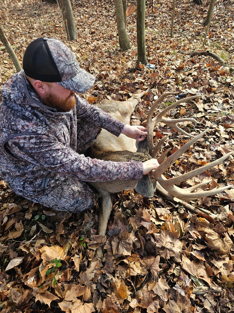 All Photos for Bluff Country Whitetails in Southern Indiana, IN