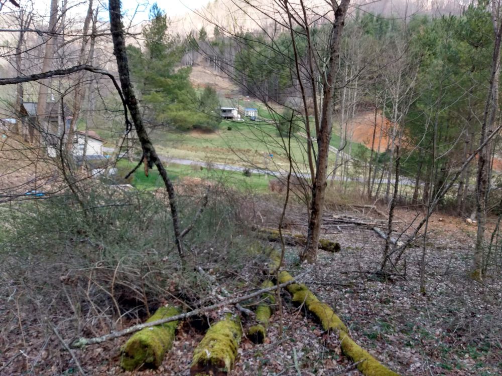 Our expert Drain Cleaning service ensures smooth, clog-free plumbing by efficiently removing blockages and buildup, enhancing your home's drainage system performance and preventing potential issues for peace of mind. for Quality Land Management and septic service in Green Mountain, NC