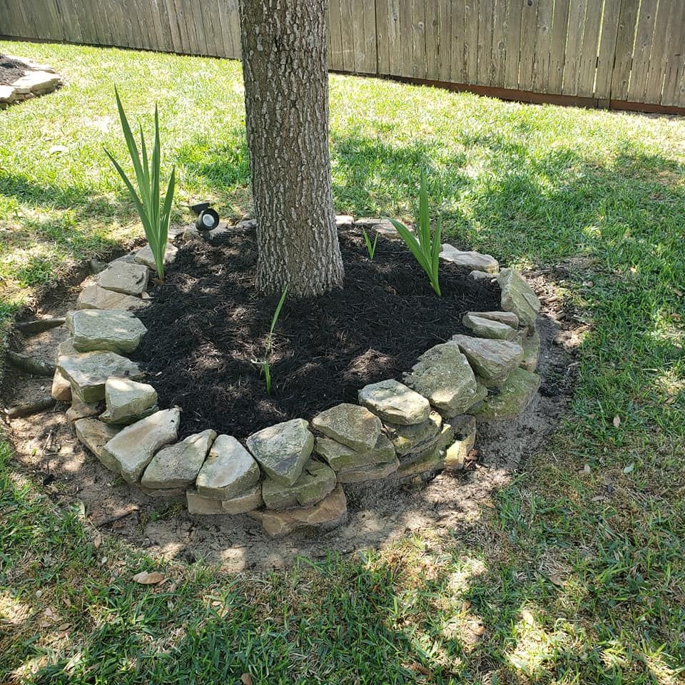 Lawn Care for T.W. Lawn Care in Pearland, TX