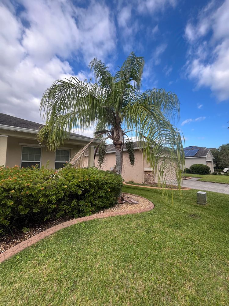 All Photos for Ludlows Services in Clermont, FL