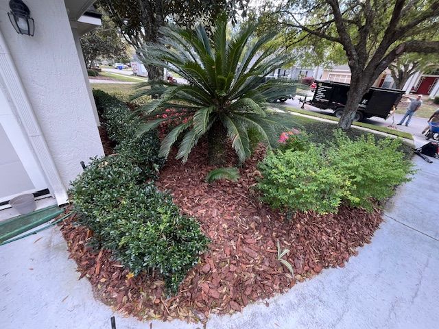 Landscaping for K & A Landscaping, Inc. in Jacksonville, FL