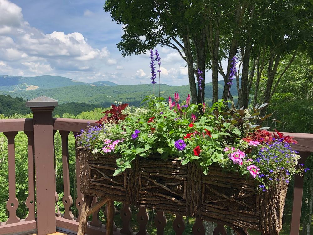 All Photos for Sustainable Lawn and Landscape in Banner Elk, NC