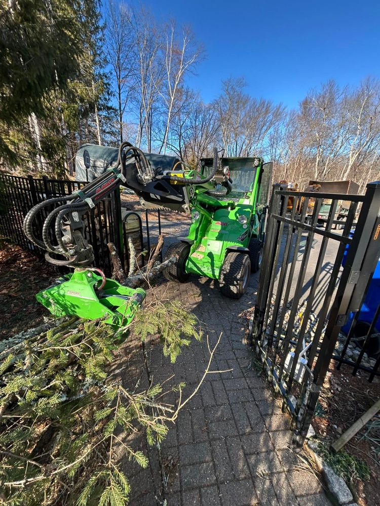 Emergency Tree Services for DC TREE in Vernon, CT