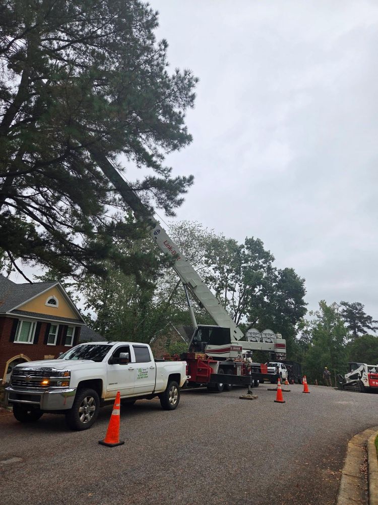 All Photos for Trees Unlimited of the CSRA in Augusta, GA