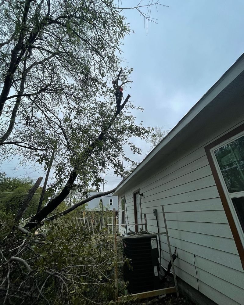 Tree Service for The S&L Good Fellas LLC in Irving, TX