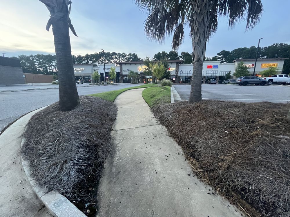 All Photos for All-Star Lawn Care & Soft Washing in Mobile, AL