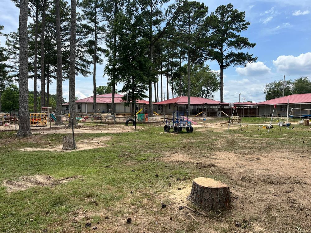 Tree Removal for Big Rock Tree Removal LLC in Boaz, AL