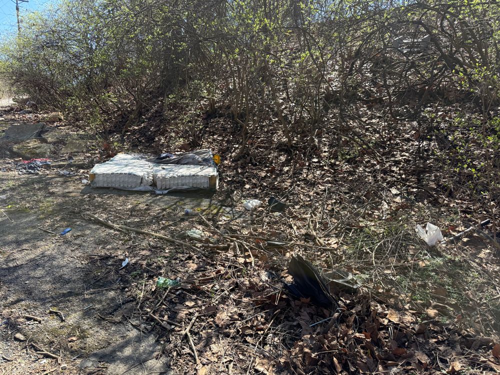 All Photos for A1 Bush Hogging & Lawn Service in London, OH