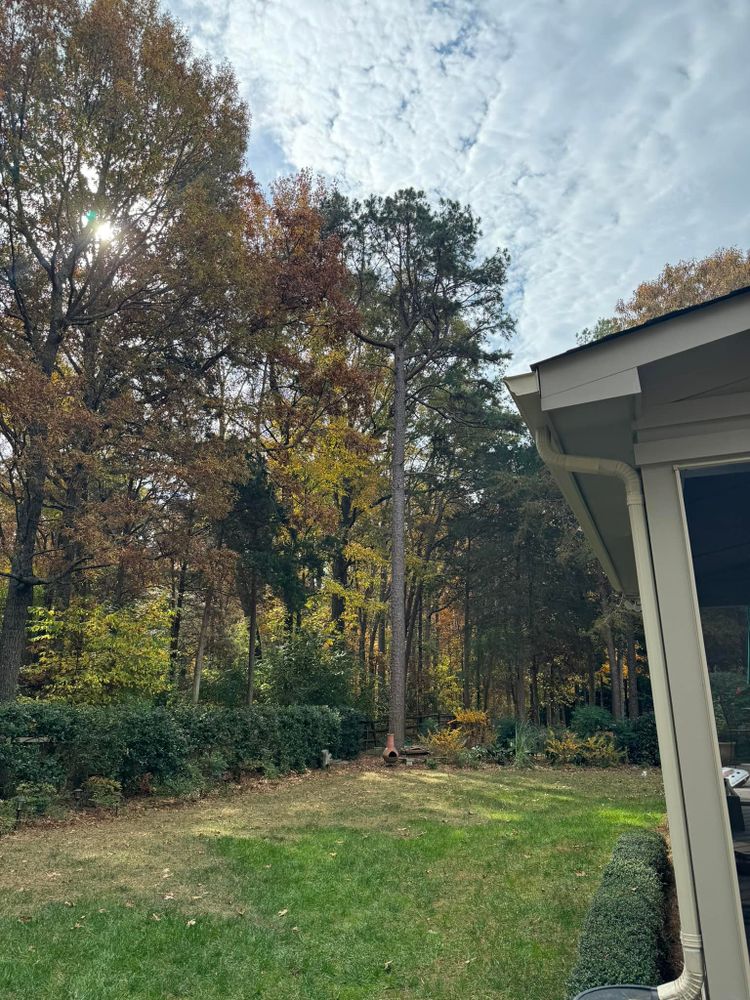 All Photos for Diversified Tree Company in Trinity, NC