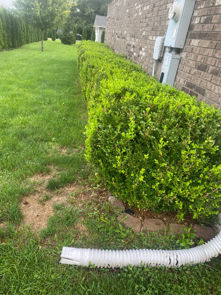 All Photos for Stafford.Works in Brownsburg, IN