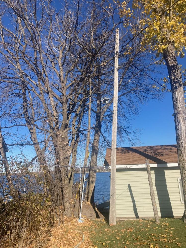 All Photos for Dan's Tree Service LLC in Bemidji, MN