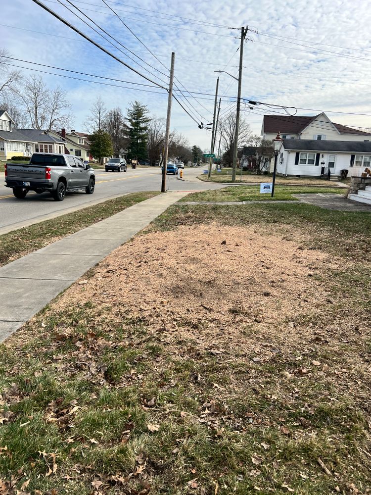 All Photos for Kadin’s Tree Service in North Vernon, IN