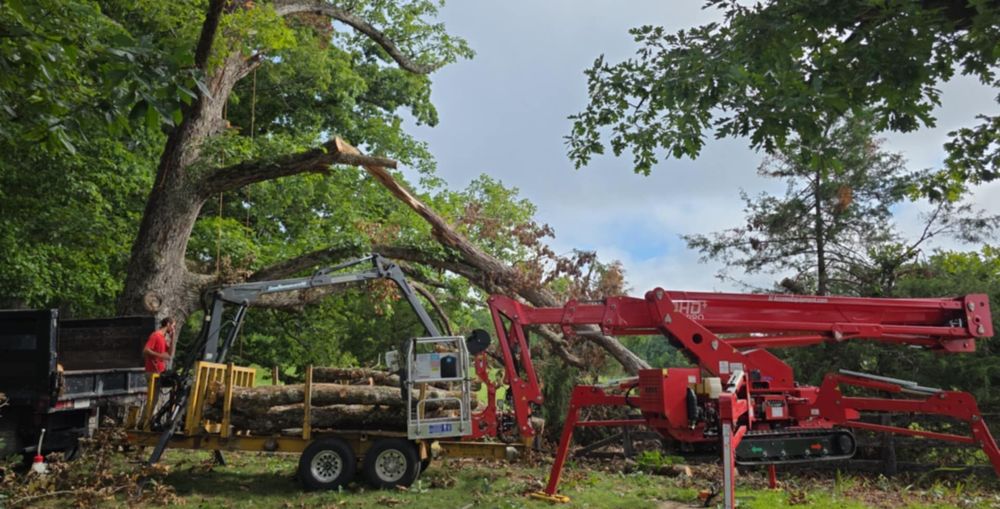 All Photos for Smith Tree Experts in Palmyra, VA