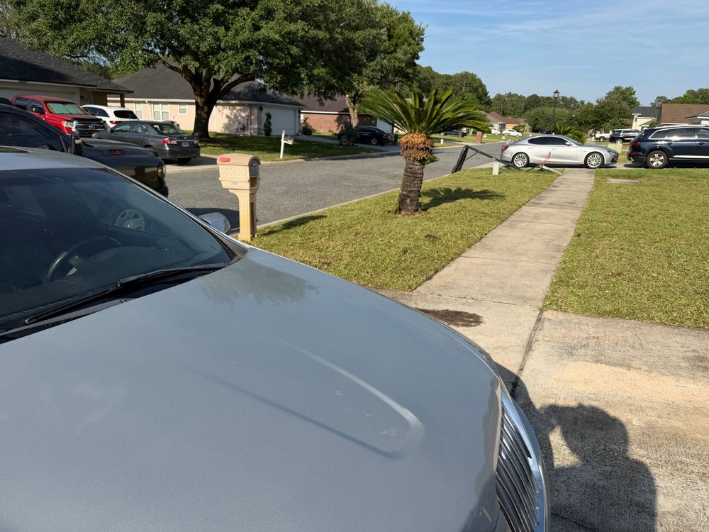 All Photos for All of the Above Landscaping in Orange Park, FL