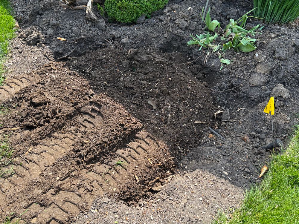 All Photos for Conrad's Stump Removal in Columbus, IN
