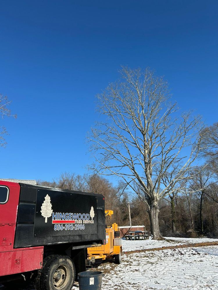 All Photos for Hingewood Tree Service in Salem, NJ