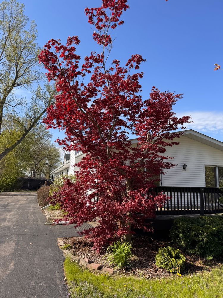 All Photos for H&L Lawn Care LLC in Twin Lakes, WI