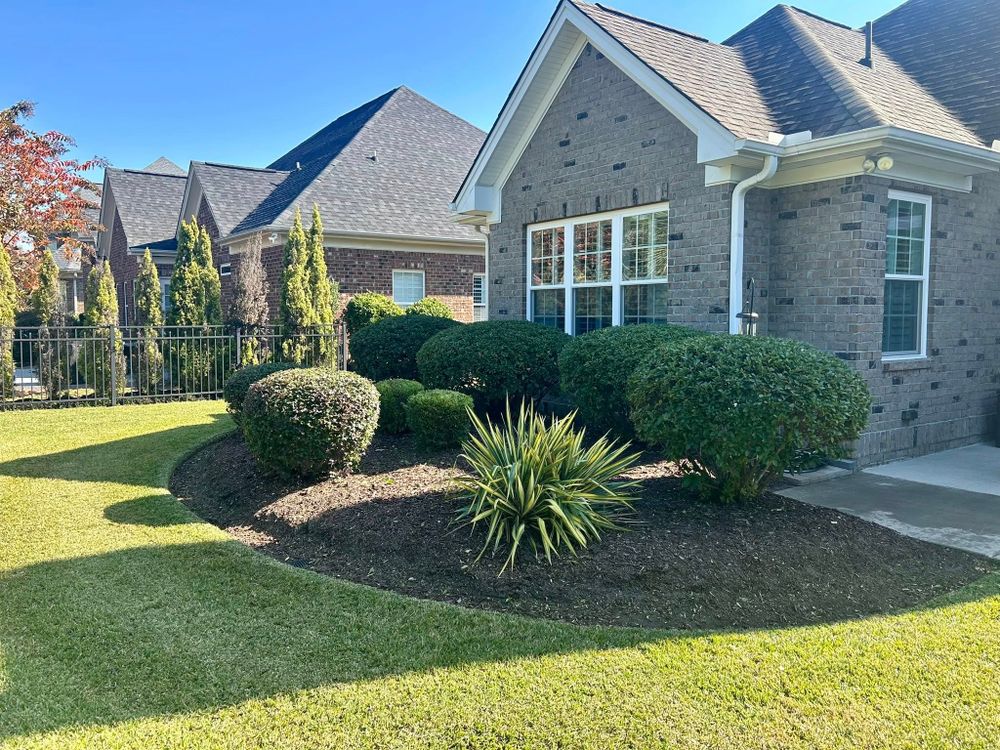 New Creation Lawn and Landscape team in Myrtle Beach, SC - people or person