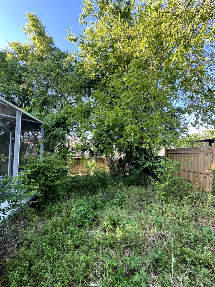 All Photos for Elevation Tree Service in Holiday, FL