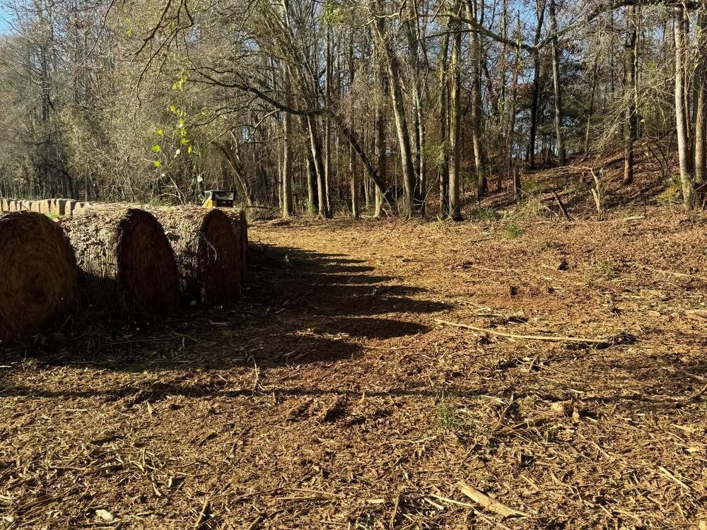 All Photos for T Crane Grading LLC in Clarkesville, GA