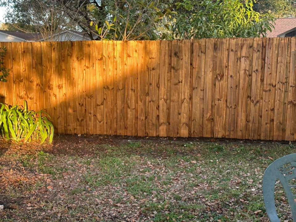 All Photos for The Yardman in Tampa, FL