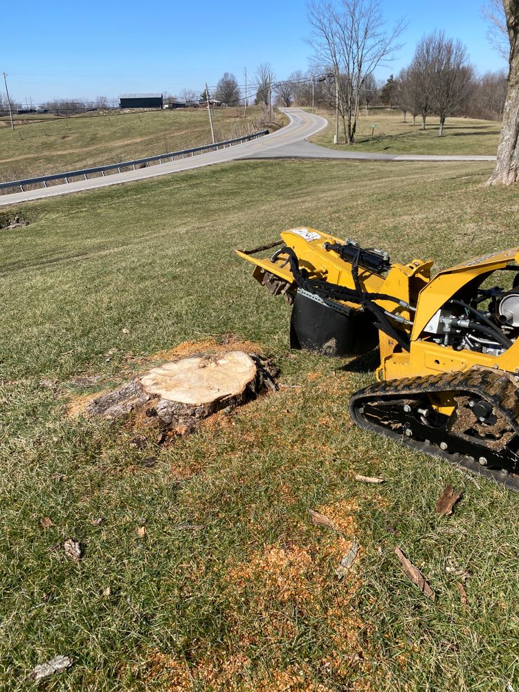 All Photos for Houtz Tree Service in Lexington, KY