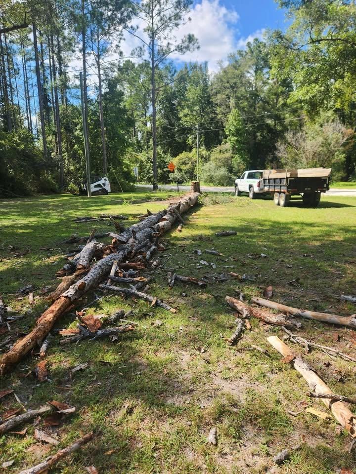 All Photos for Kowboy&Son Legacy Land Clearing in Crawfordville, FL