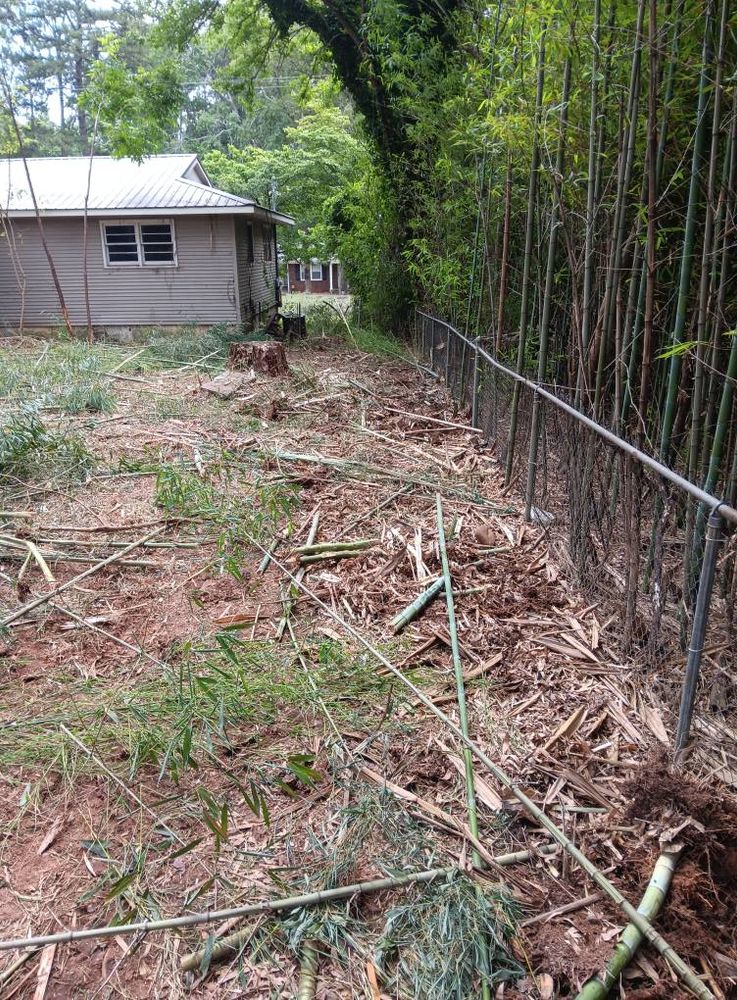 All Photos for Big C Land Management in Anniston, AL