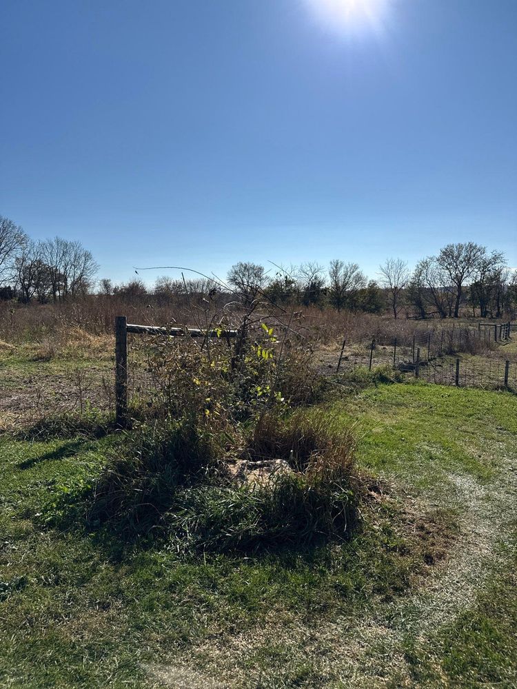 All Photos for Fransen's Tree Service  in Freeport, IL