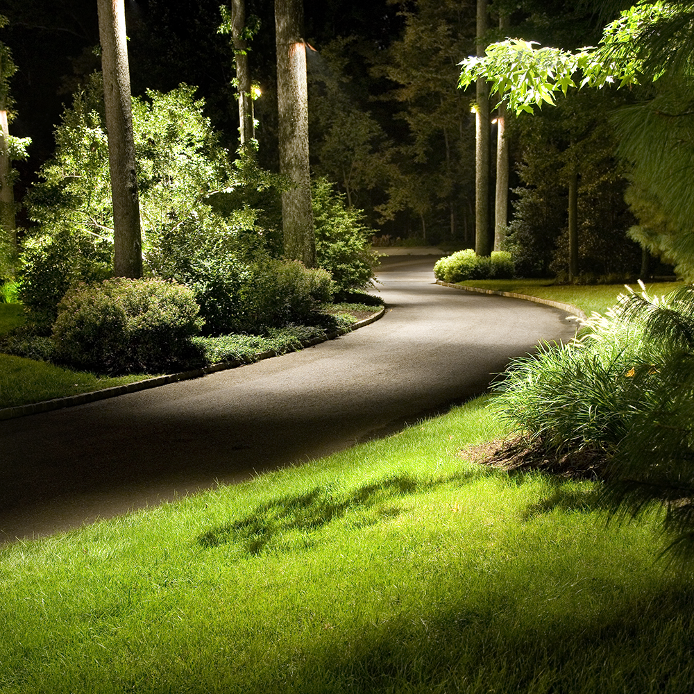 Lighting for Atlas Land Design in Creekside Park, TX