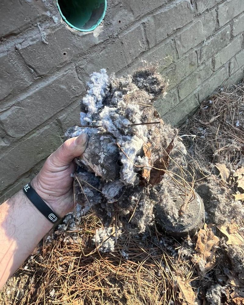 All Photos for Honey Do Oxford Pressure Washing and Soft Washing in Oxford, Mississippi