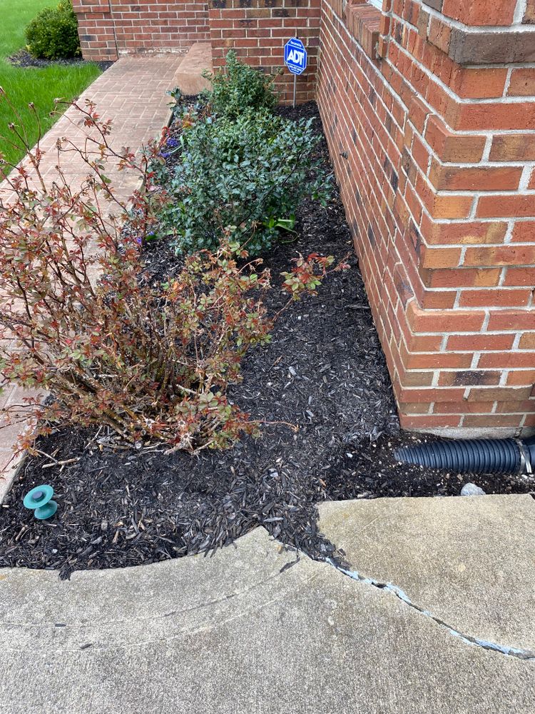 All Photos for Bearforce Lawn Care LLC in Greenfield, IN