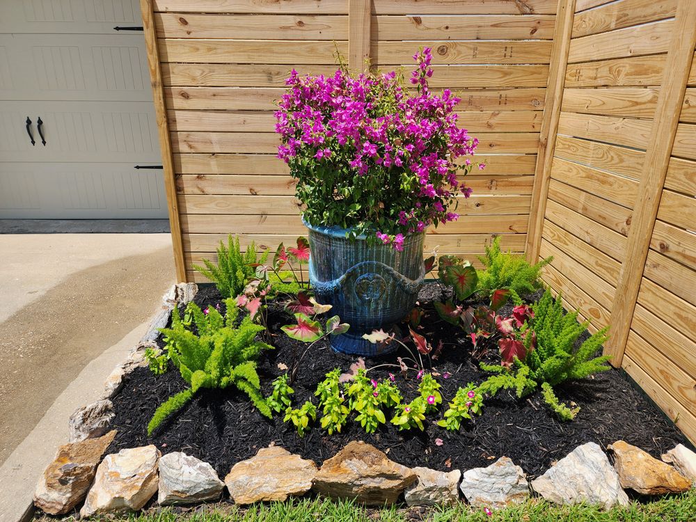 All Photos for Bruno's Professional Lawn's & Landscape in Beaumont, TX