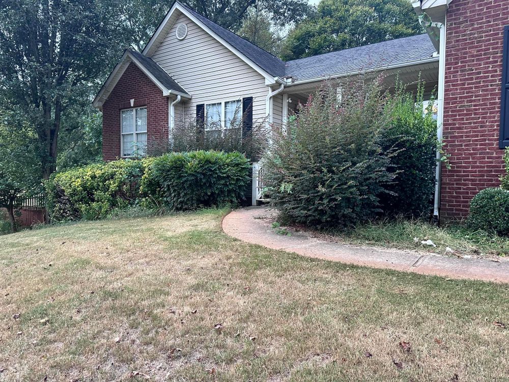 All Photos for Sexton Lawn Care in Jefferson, GA