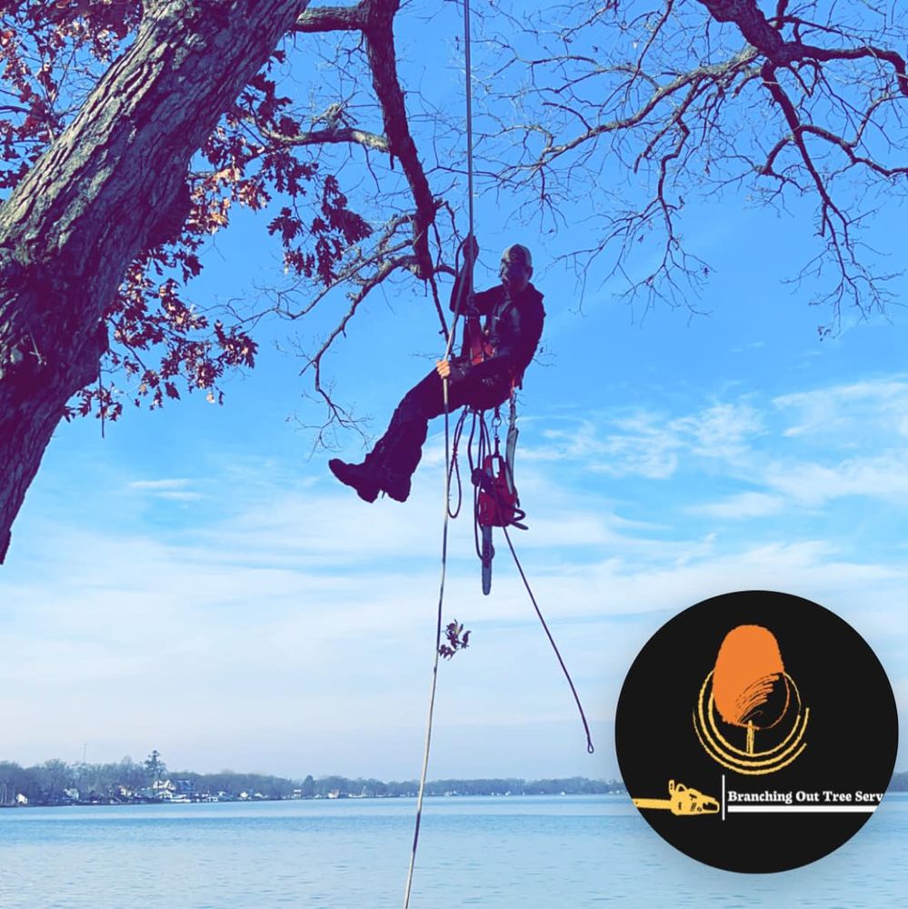 Other Services for Branching Out Tree Service in Hastings, MI