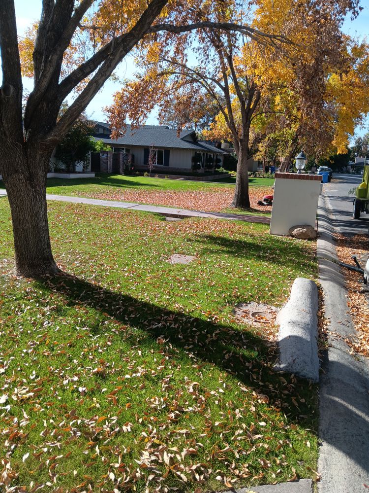 All Photos for Family Landscaping in Phoenix, AZ