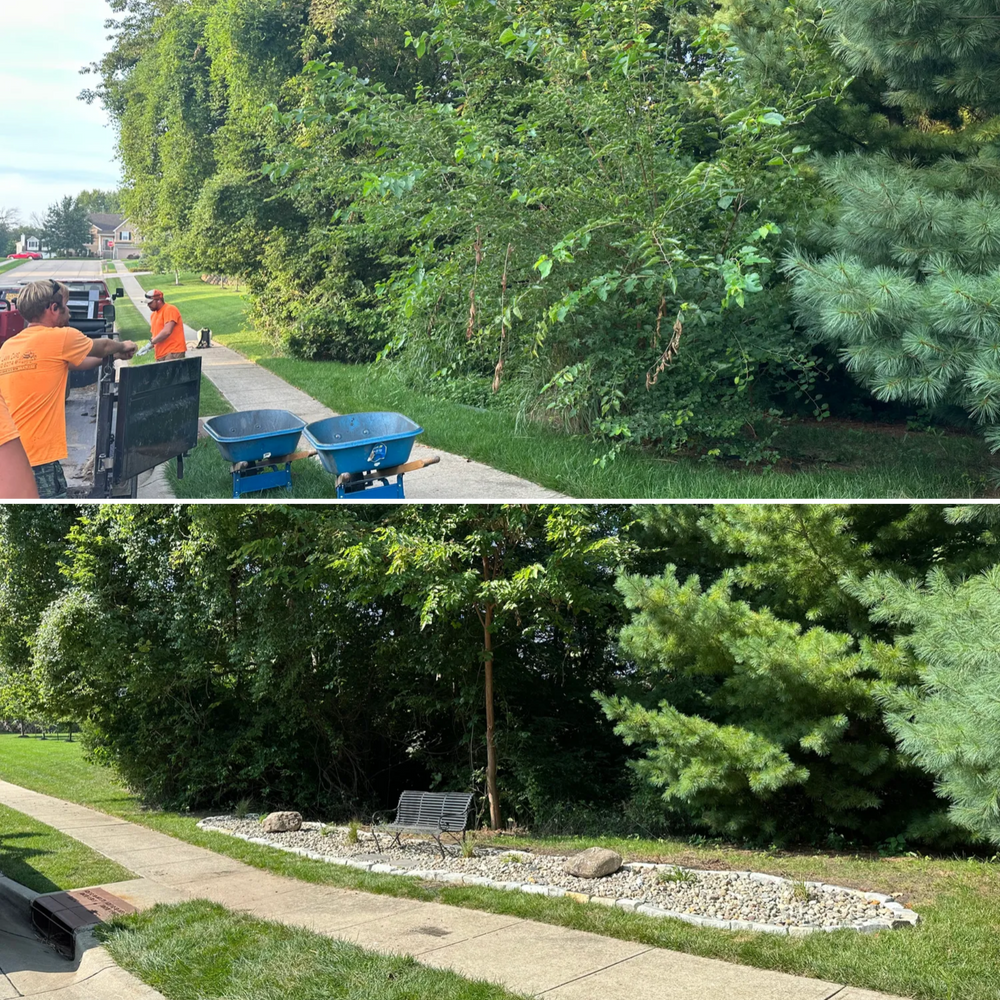 Before and After Transformations for Thomas' Lawn Care in Maryville, MO